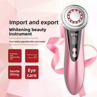 Household facial beauty instrument