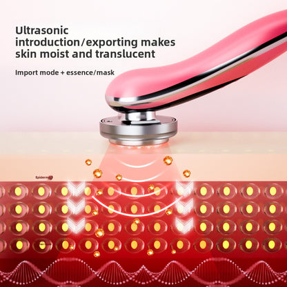 Household facial beauty instrument